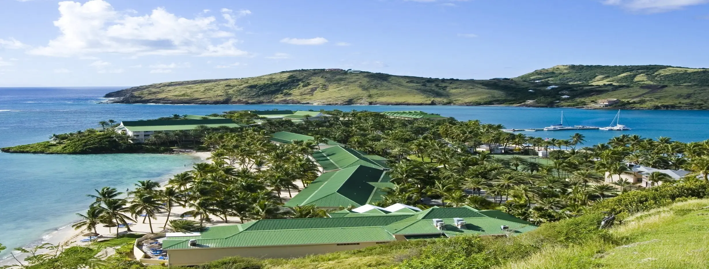 Image for Island Oasis